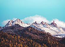 半岛体育在线-事不过三？佩雷拉欲破恐日症 已成卡塔尔球队候选