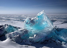 半岛体育在线-事不过三?佩雷拉欲破恐日症 已成卡塔尔球队候选