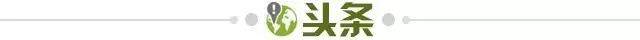 半岛体育APP-【早报】曼城正式登顶，罗塞尼尔下课！